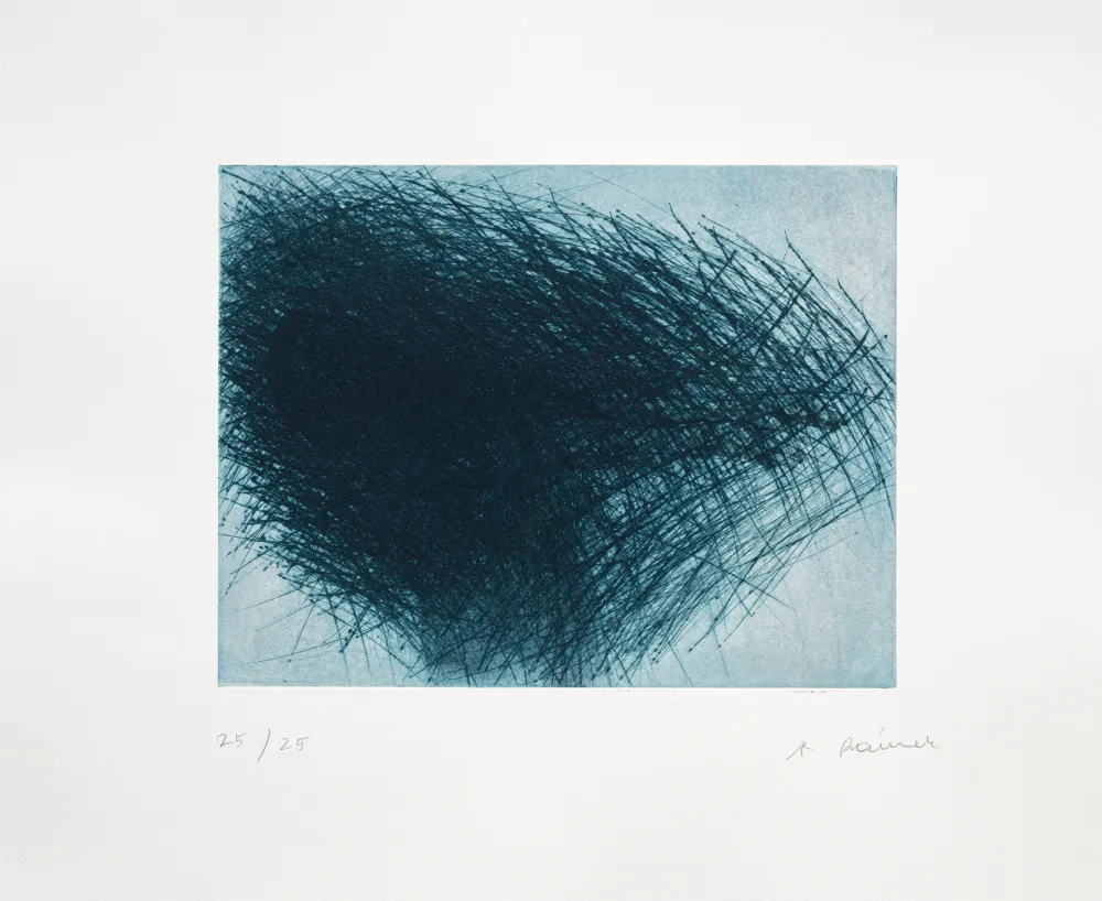 Grabado Rainer - Schwarm