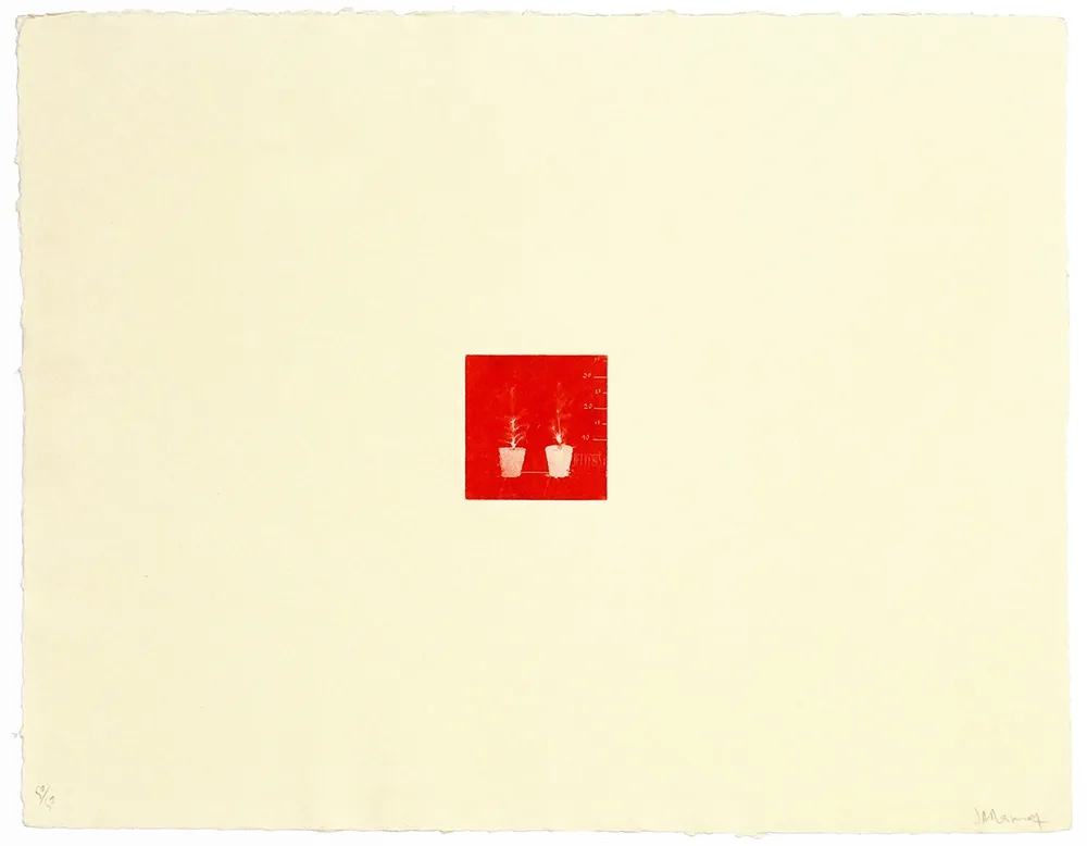 Grabado Ramírez Suass - S'enraciner