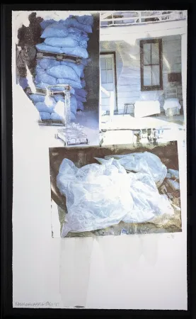 Serigrafía Rauschenberg - Daydream (Speculations)