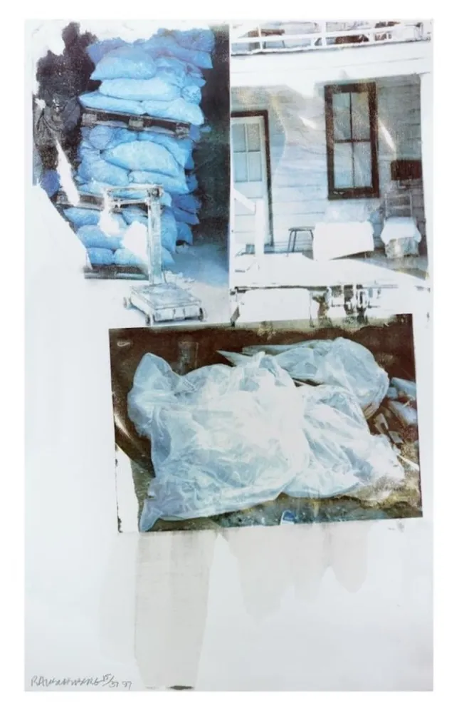 Serigrafía Rauschenberg - Daydream (Speculations)