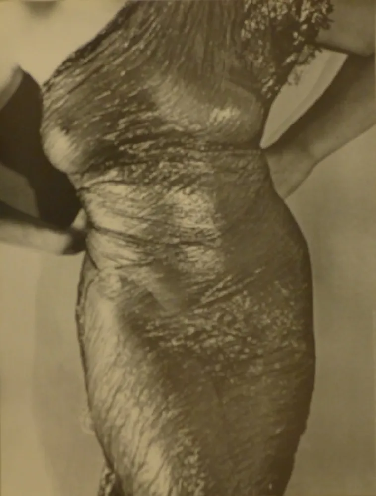 Cartel Ray - Anatomies