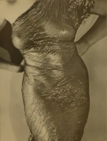 Cartel Ray - Anatomies