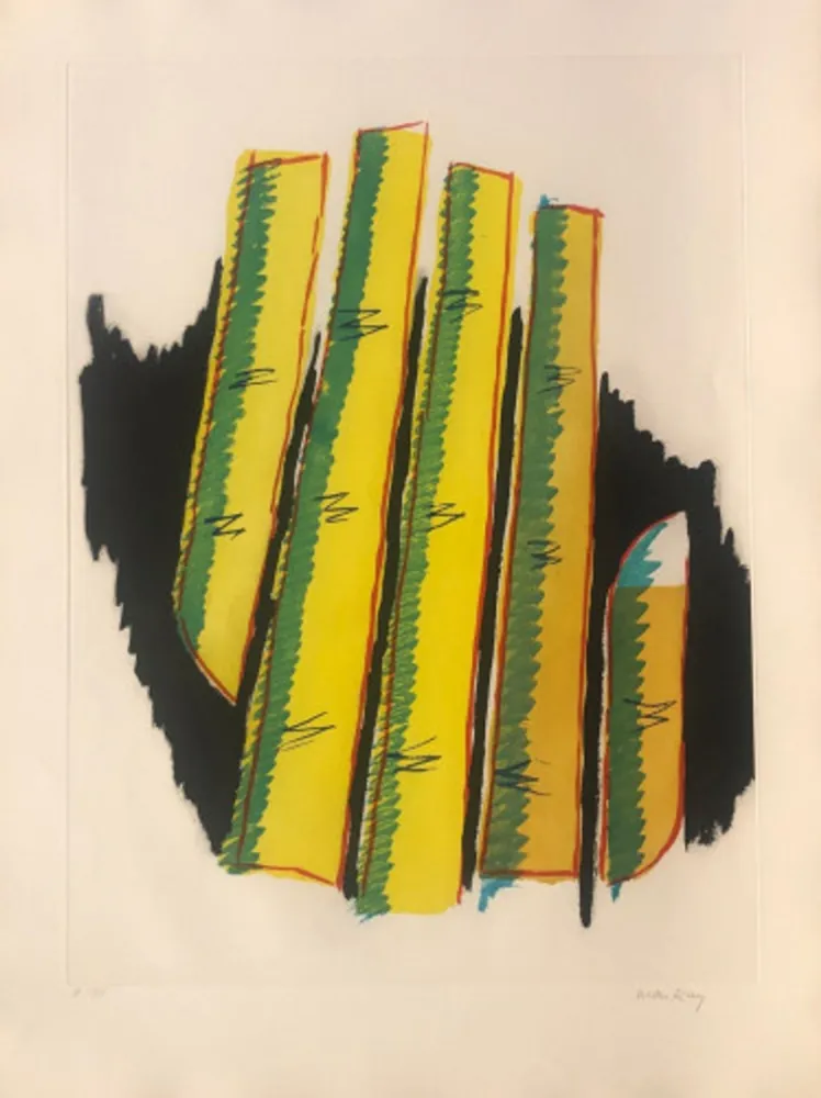 Aguatinta Ray - Cactus