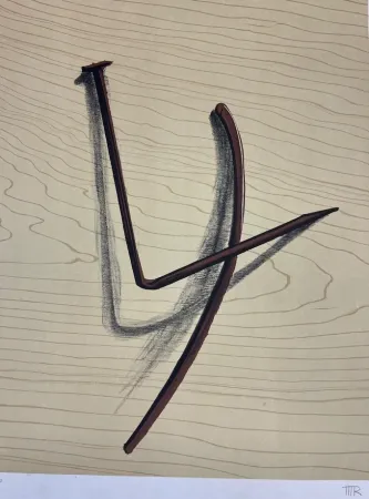 Litografía Ray - L' émerveillé merveilleux