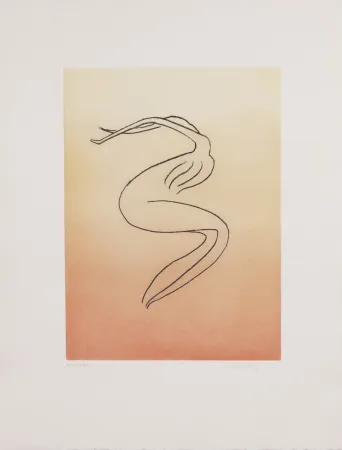 Aguatinta Ray - Man Ray (1890–1976) - Anatoms without Rime or Reason for Every Season - Aquatint and soft ground on paper - 1970