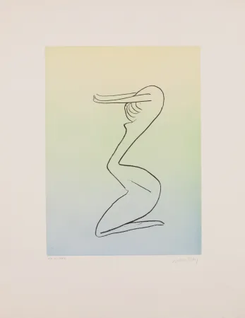 Aguatinta Ray - Man Ray (1890–1976) - Anatoms without Rime or Reason for Every Season - Aquatint and soft ground on paper - 1970