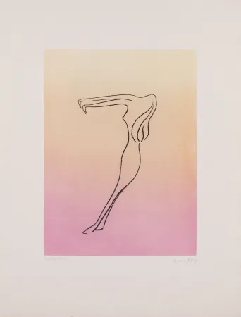 Aguatinta Ray - Man Ray (1890–1976) - Anatoms without Rime or Reason for Every Season - Aquatint and soft ground on paper - 1970