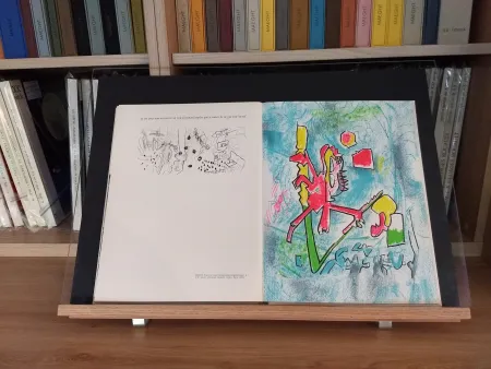 Libro Ilustrado Ray - No 45