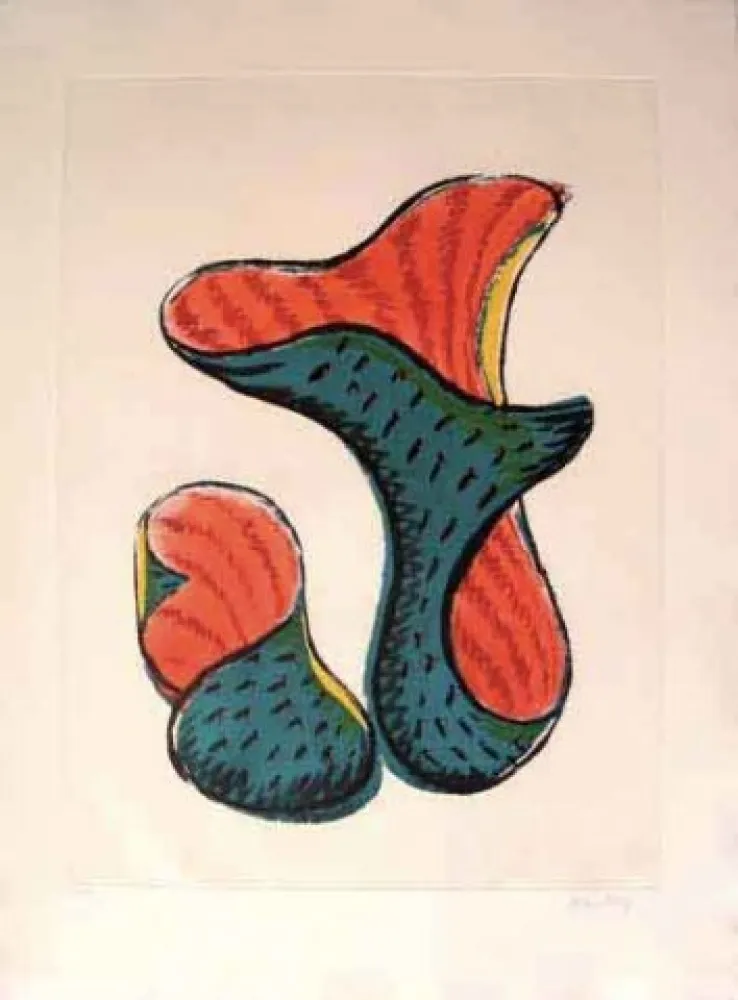 Grabado Ray - Transfiguration D' Un Cactus 3