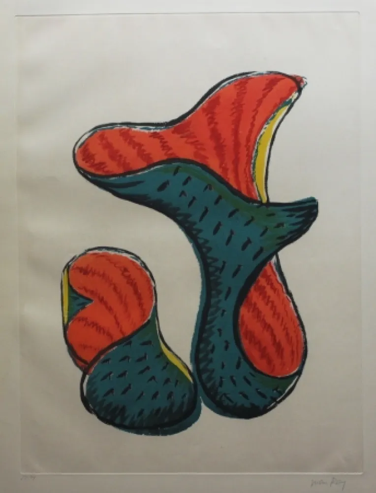 Aguafuerte Y Aguatinta Ray - Transfiguration d'un cactus