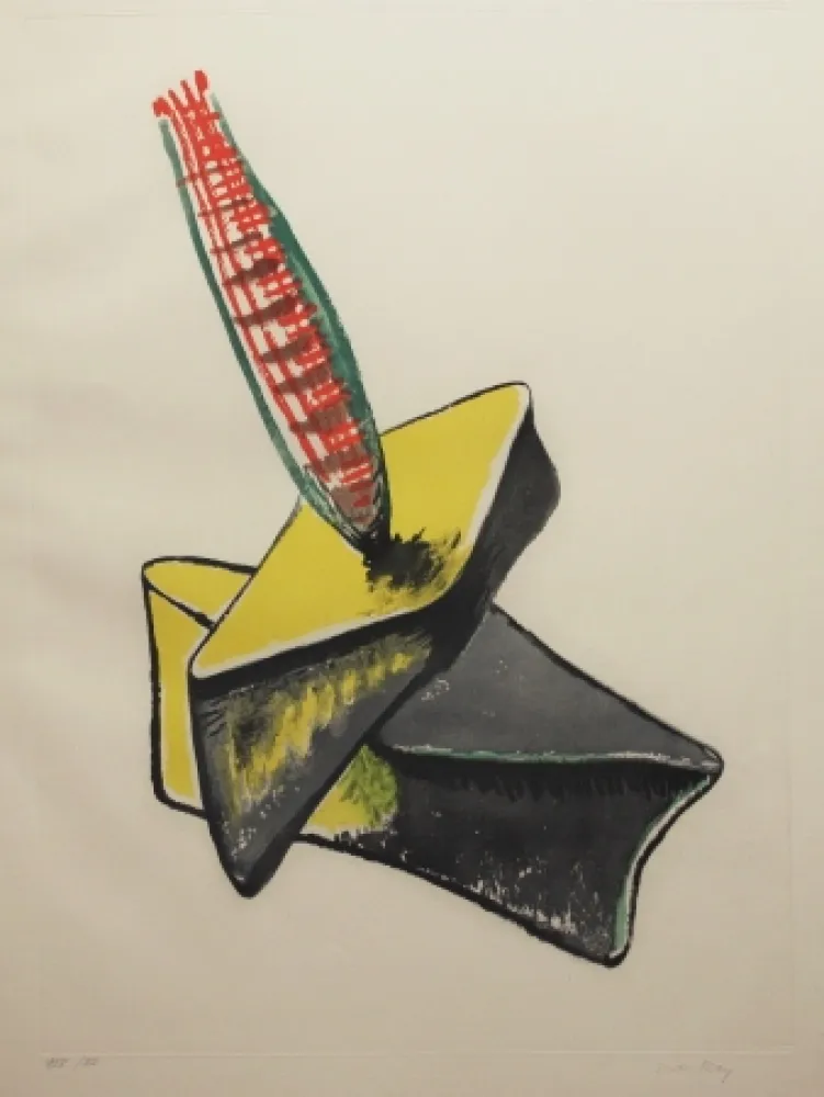 Aguafuerte Y Aguatinta Ray - Transfiguration d'un cactus