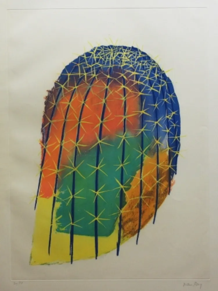 Aguafuerte Y Aguatinta Ray - Transfiguration d'un cactus