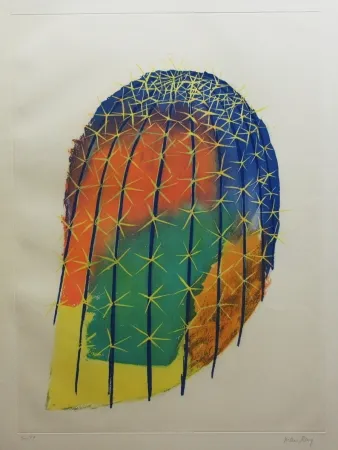 Aguafuerte Y Aguatinta Ray - Transfiguration d'un cactus