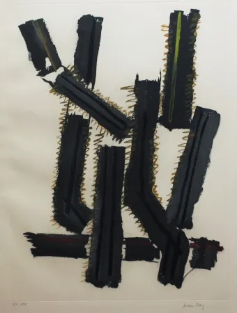 Aguafuerte Y Aguatinta Ray - Transfiguration d'un cactus