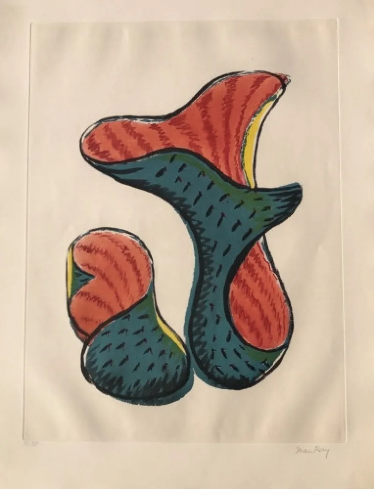 Aguatinta Ray - Untitled (from Transfiguration d' un Cactus)