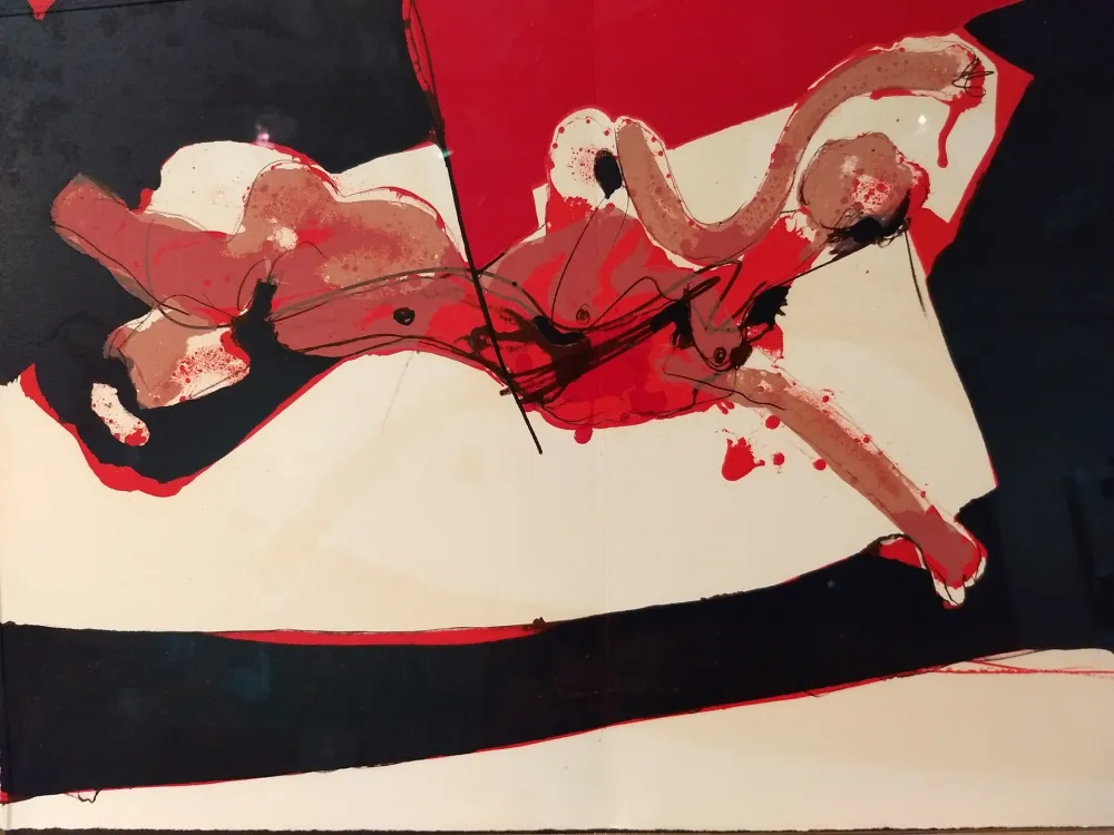 Libro Ilustrado Rebeyrolle - Coexistances