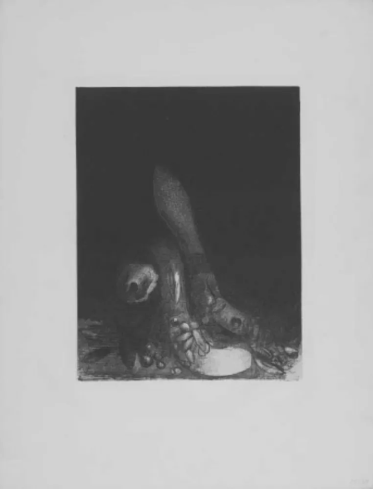 Litografía Redon - Des fleurs tombent, e la tete d'un phyton parait