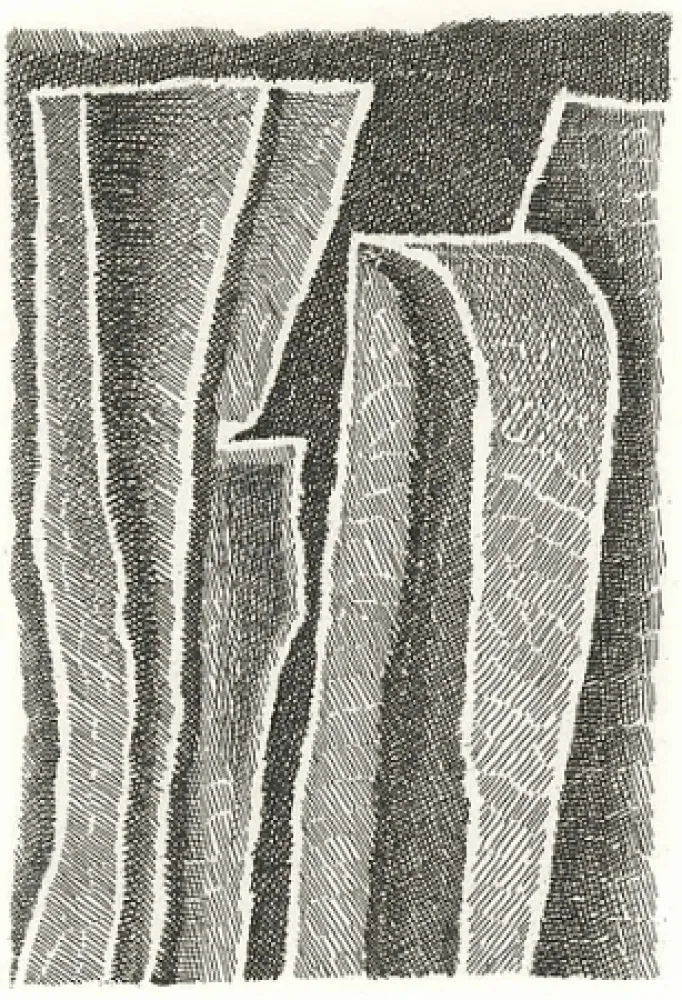 Libro Ilustrado Ricci - I Sassi di Matera