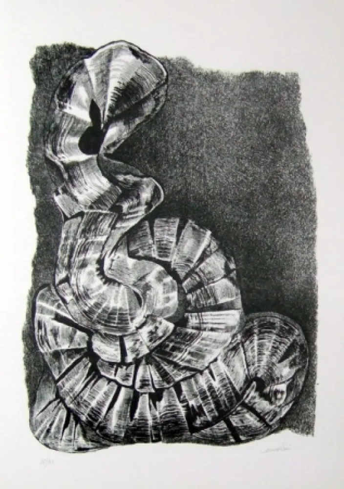 Libro Ilustrado Ricci - Lettera a un amico (e, indirettamente, a tutti gli altri)