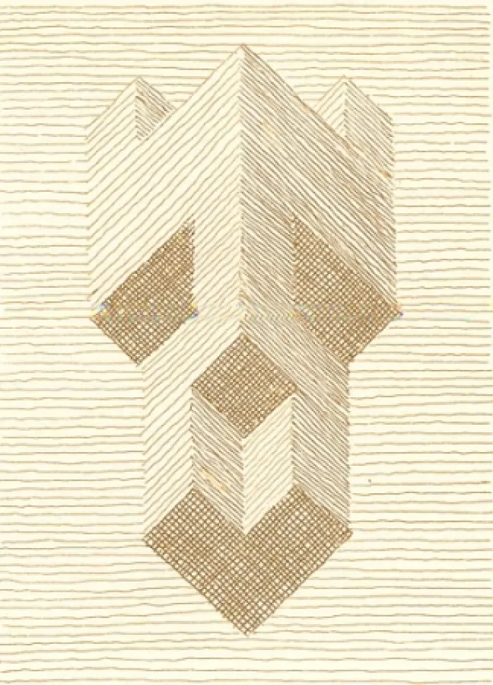 Libro Ilustrado Ricci - Nel rettangolo dei teoremi