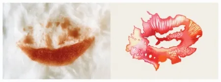 Estampa Numérica Richard - Les revers du baiser