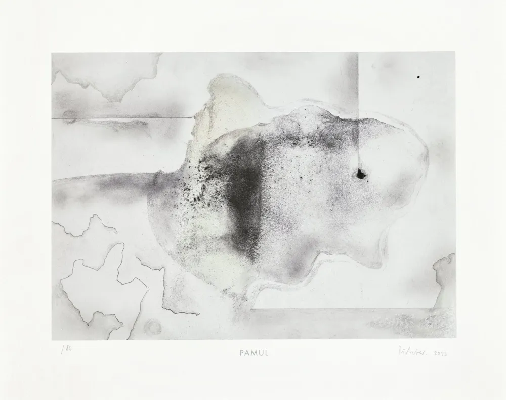 Múltiple Richter - Pamul