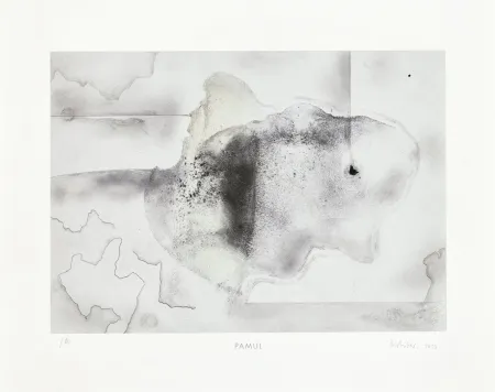 Múltiple Richter - Pamul