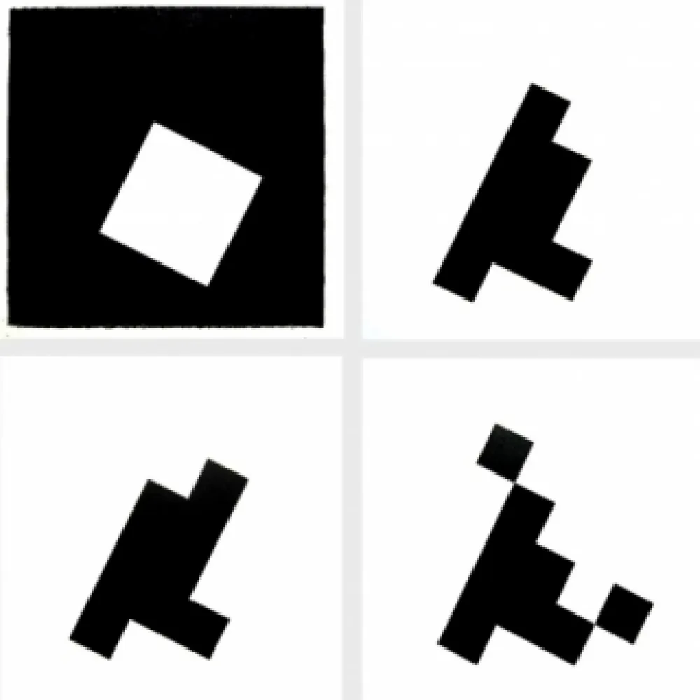 Libro Ilustrado Ridell - Mesure du signe