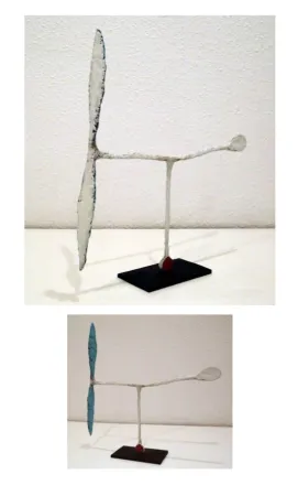 Sin Técnico Riera I Aragó - Avió blanc amb cua