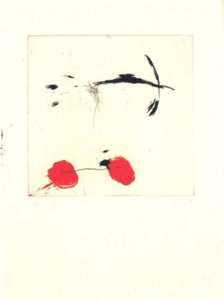 Grabado Riera I Aragó - Avió petit rodes vermelles