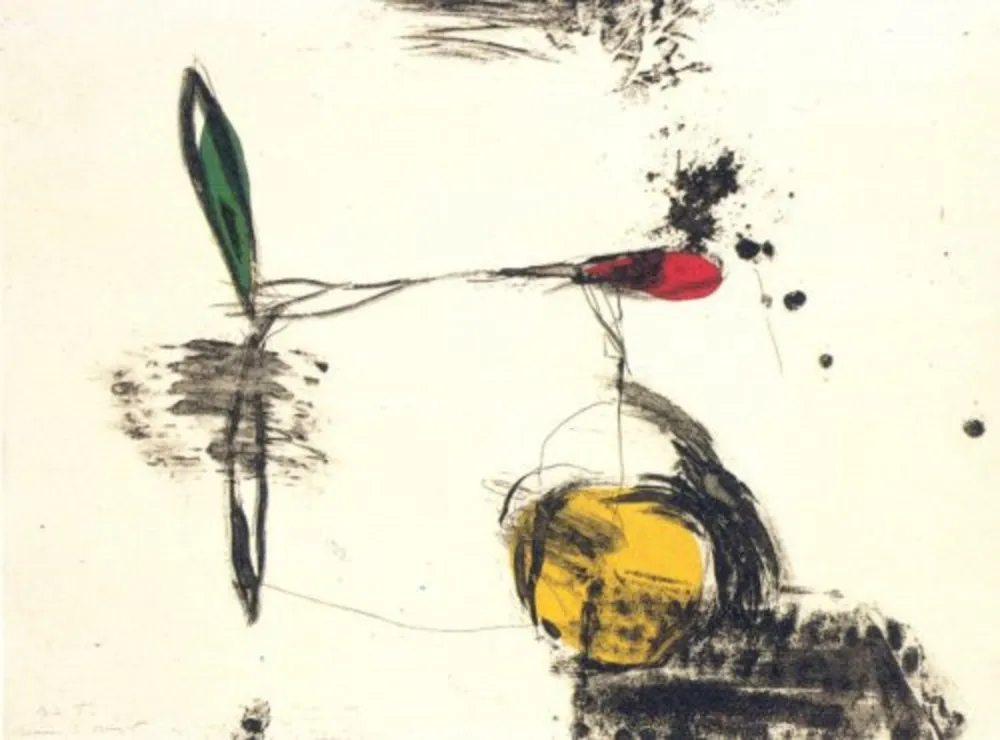 Grabado Riera I Aragó - Avió roda groga