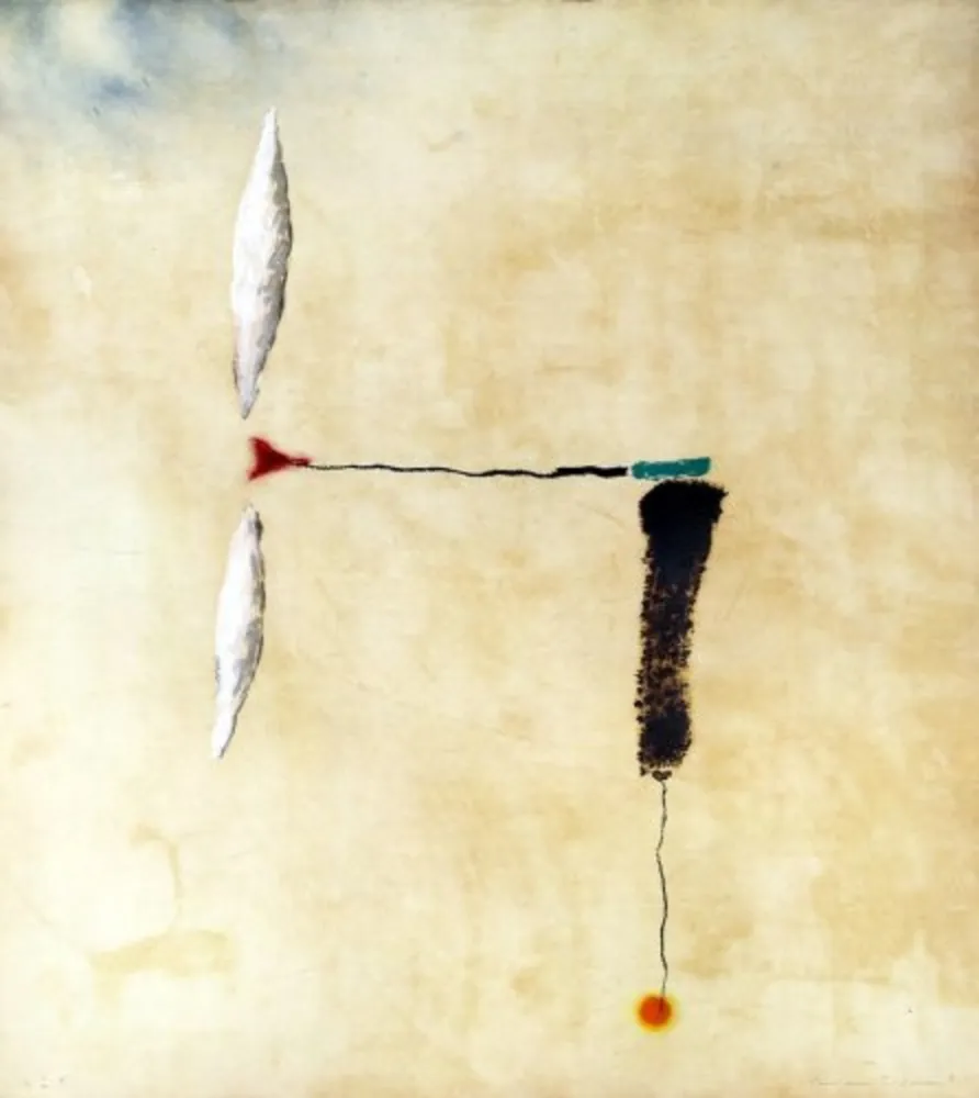 Grabado Riera I Aragó - Avió roda taronja