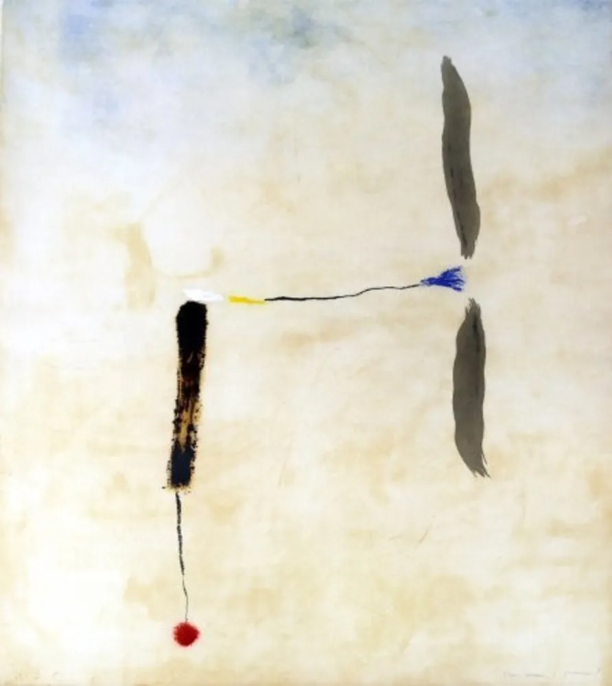 Grabado Riera I Aragó - Avió roda vermella