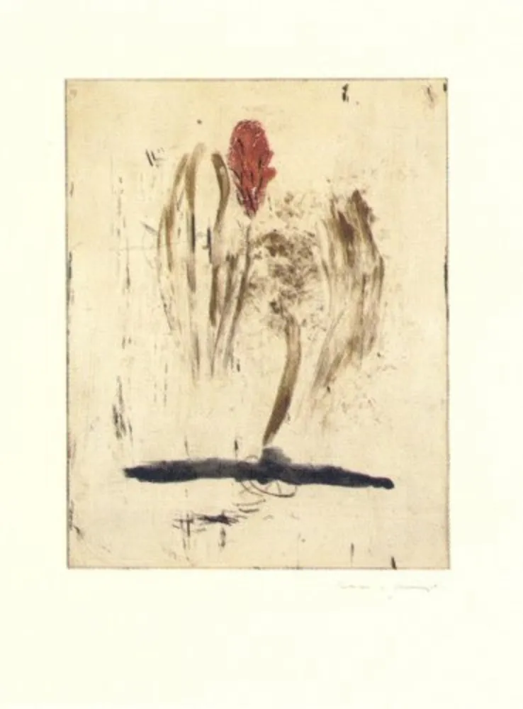 Grabado Riera I Aragó - Submarí i ala