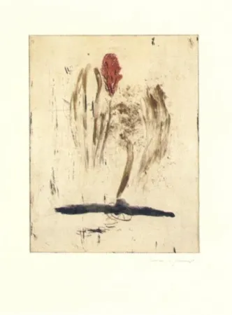 Grabado Riera I Aragó - Submarí i ala