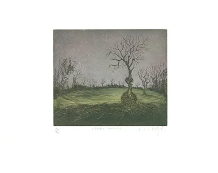 Aguafuerte Y Aguatinta Rigal J.j.j. - L'Erable canadien