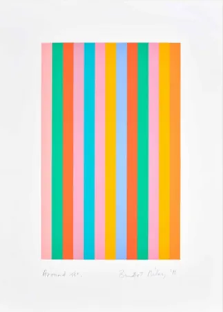 Serigrafía Riley - Around