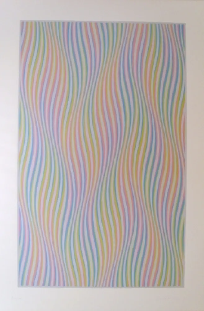 Serigrafía Riley - Elapse