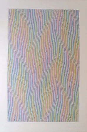 Serigrafía Riley - Elapse