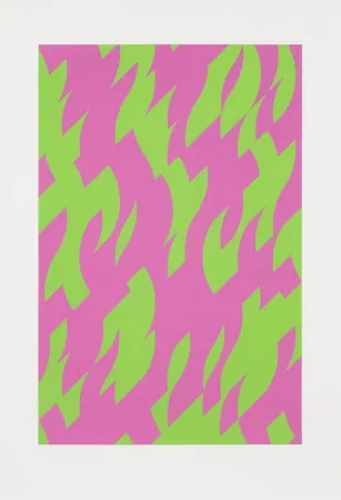 Serigrafía Riley - Magenta and Green