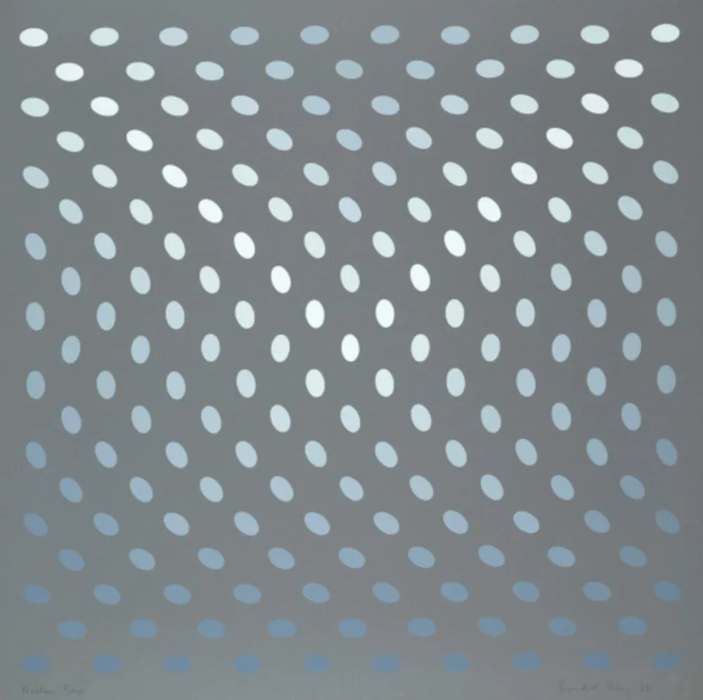 Serigrafía Riley - Nineteen Greys A