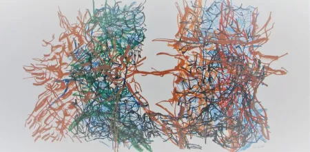 Litografía Riopelle - Album #7 Cat. No. 221