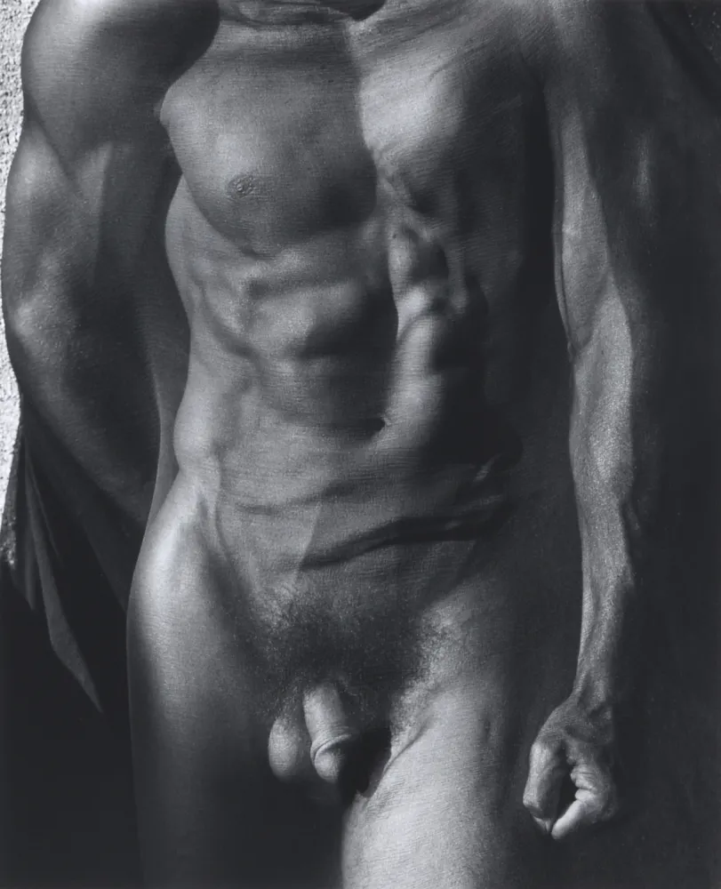 Fotografía Ritts - Male Torso with Veil (Tight), Silverlake