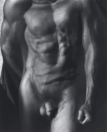 Fotografía Ritts - Male Torso with Veil (Tight), Silverlake