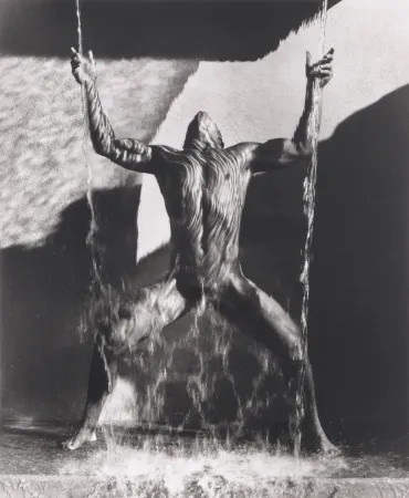 Fotografía Ritts - Waterfall II, Hollywood