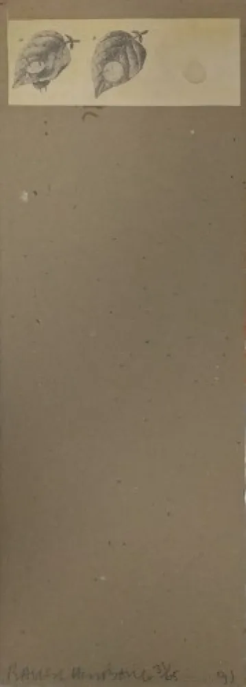 Múltiple Robert - Shirtboards Morocco, Italy