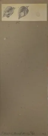 Múltiple Robert - Shirtboards Morocco, Italy