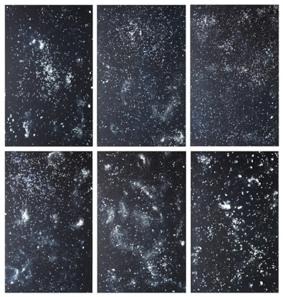 Litografía Rondinone - Stars, portfolio