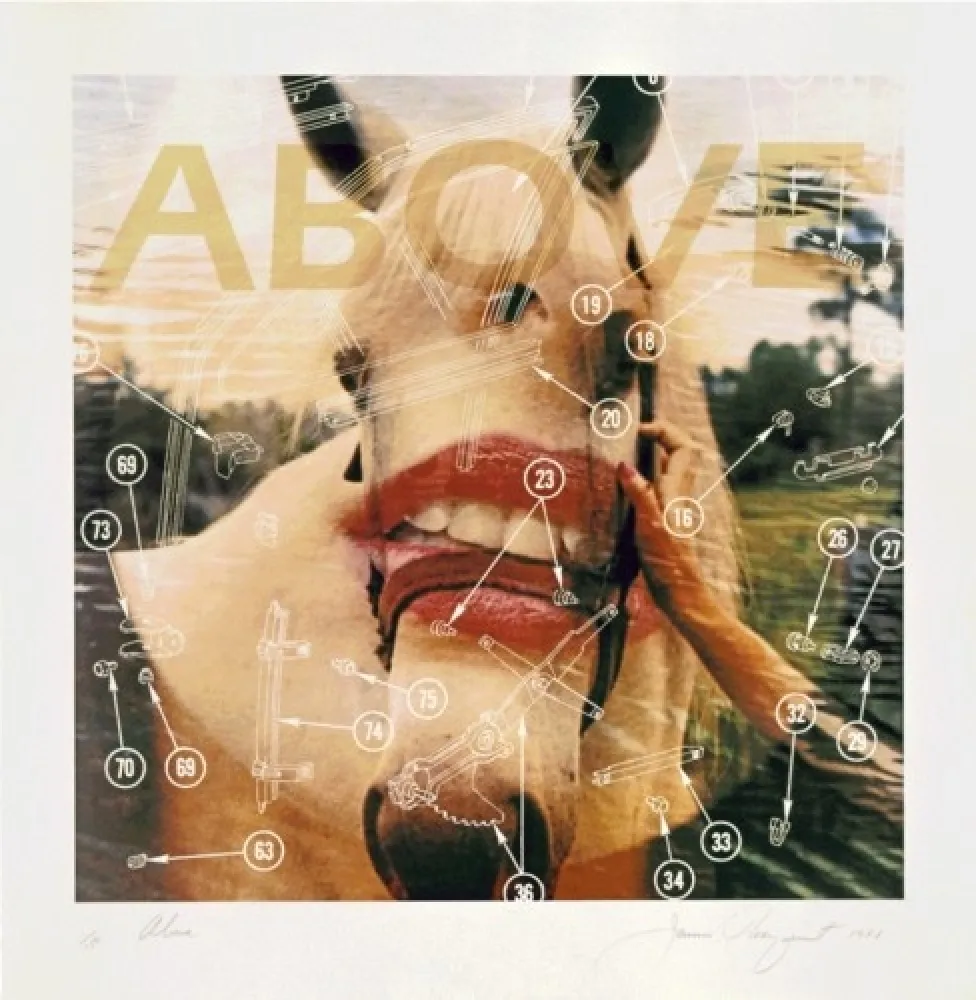 Litografía Rosenquist - Above