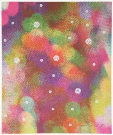 Serigrafía Rosenquist - Circles of Confusion